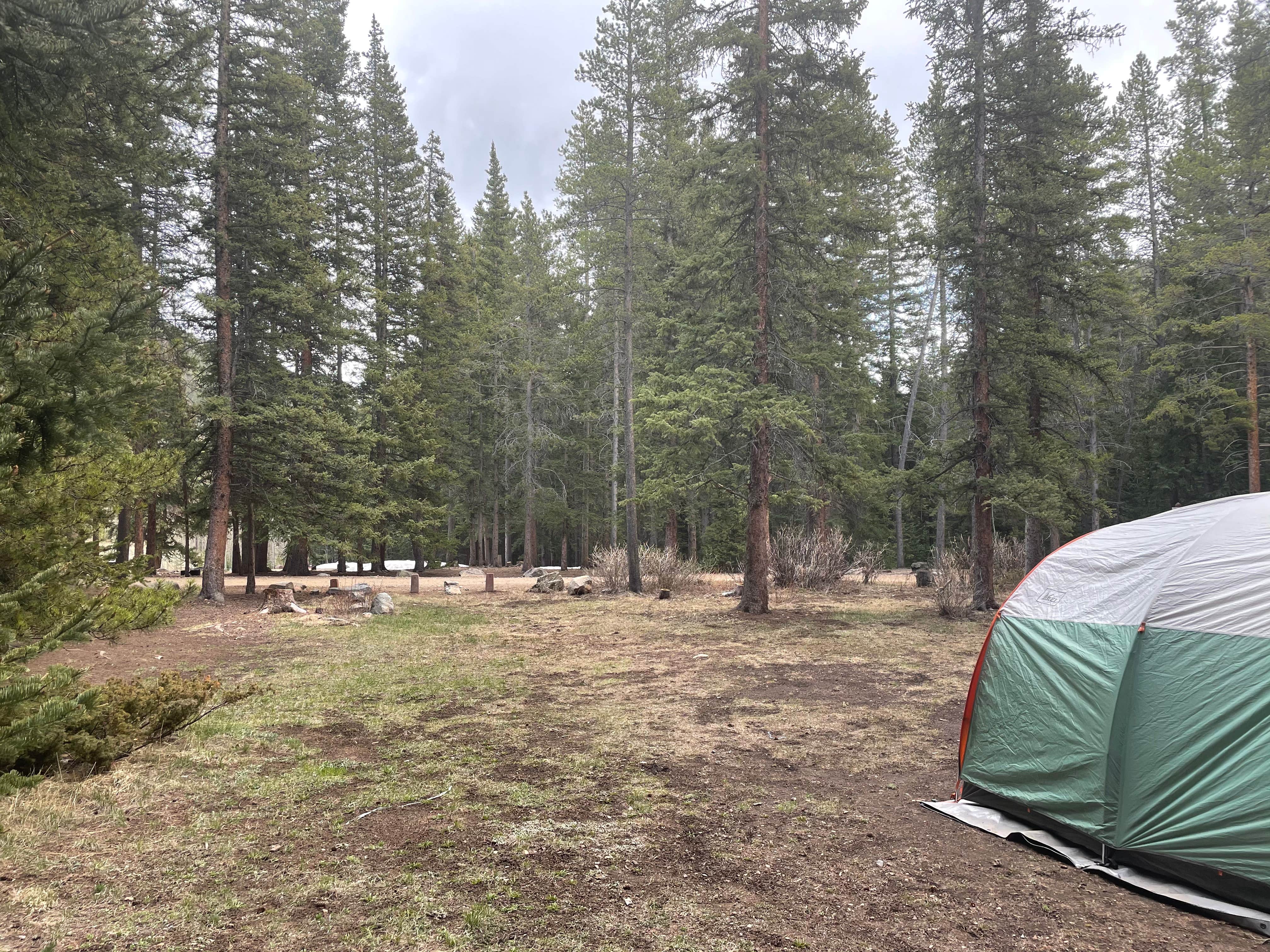 Camper-submitted photo at Handcart Campground near Jefferson, CO