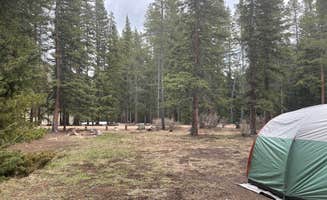 matt's photo at Handcart Campground near Jefferson, CO