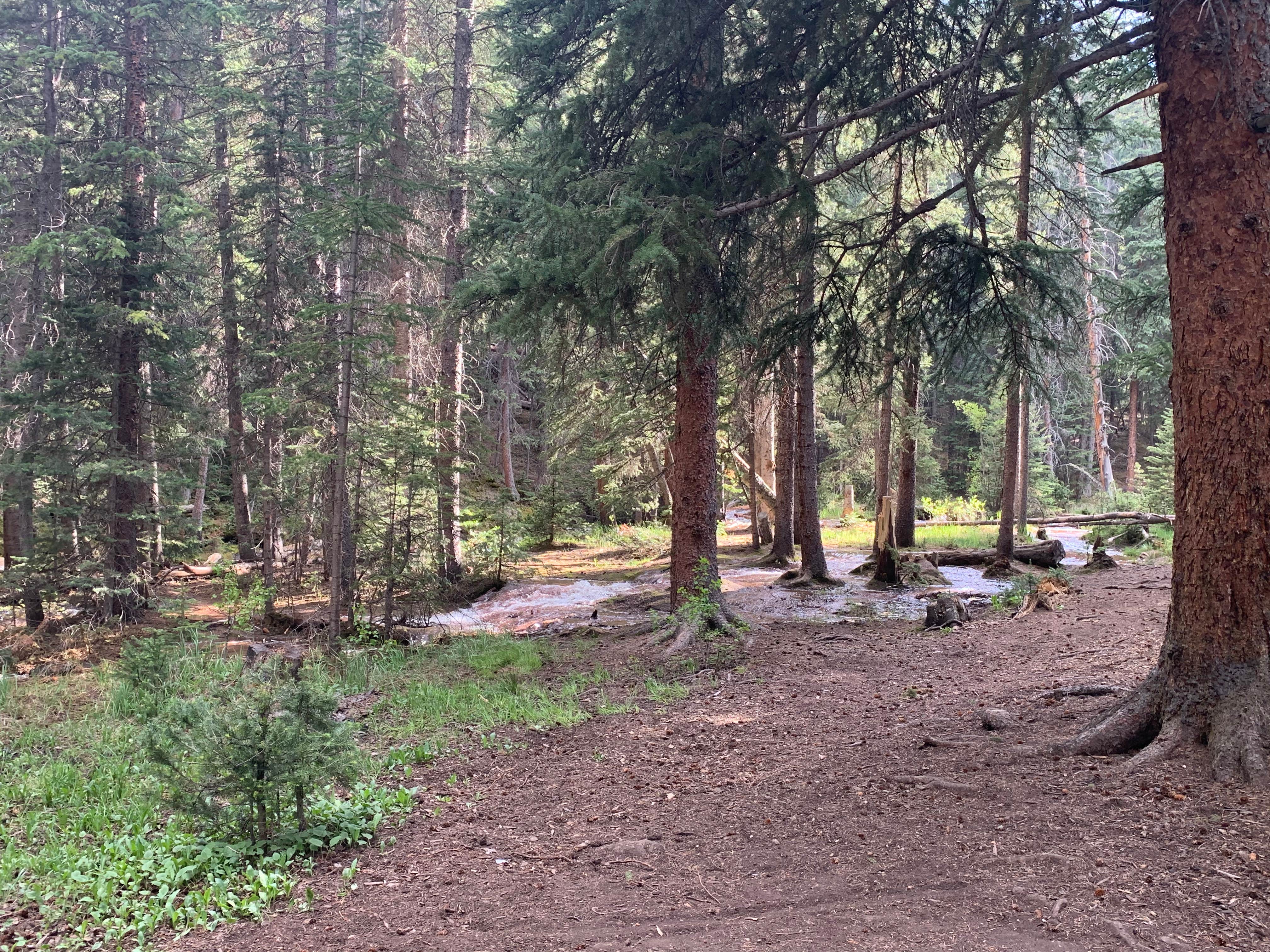 Camping near Timberline Campground: Hall Valley — Psicc, Jefferson, Colorado