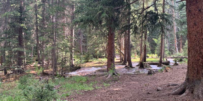 Camper submitted image from Hall Valley — Psicc