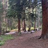 Review photo of Hall Valley Campground by matt , May 20, 2021