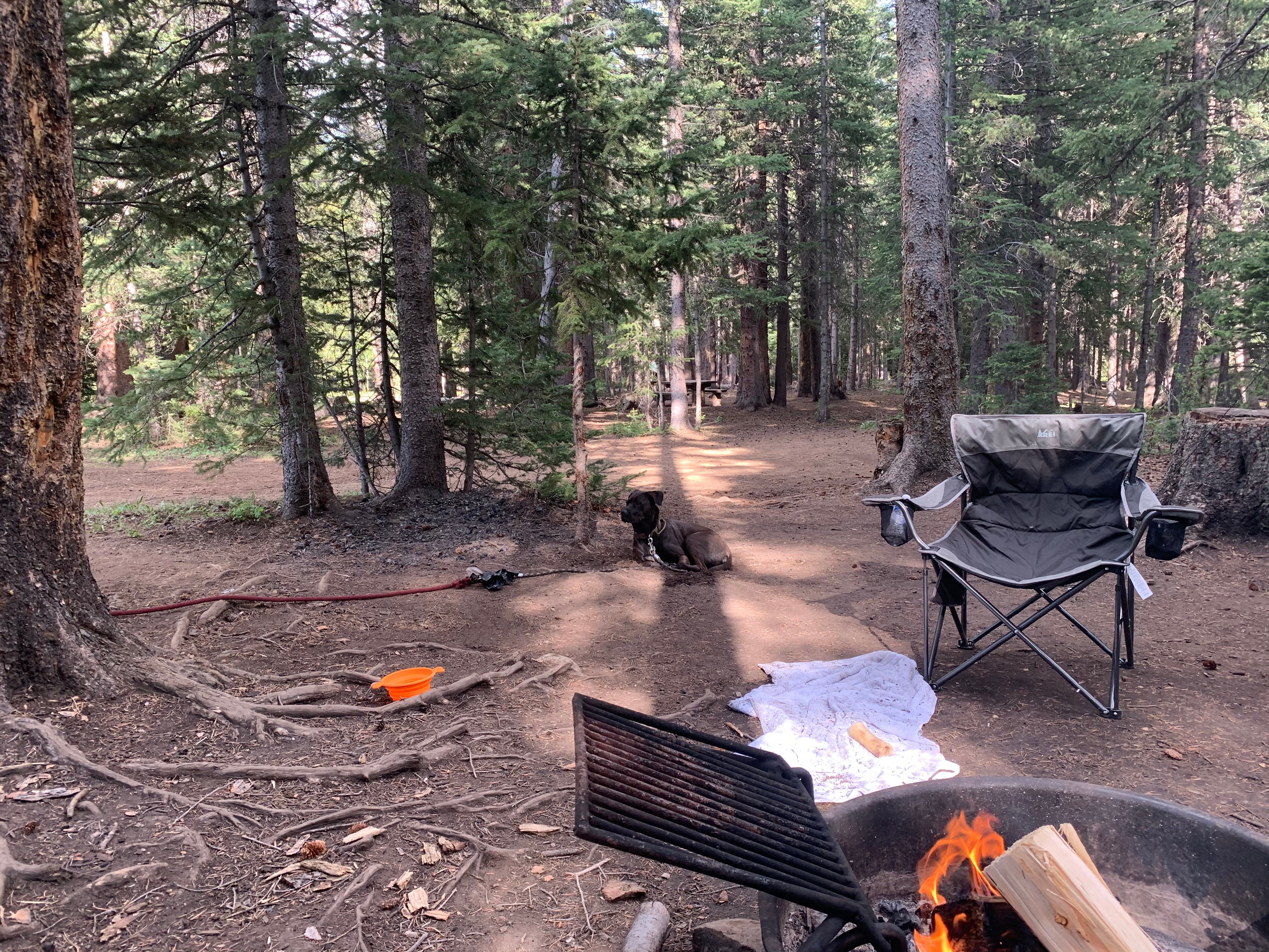 Camper submitted image from Hall Valley Campground - 5