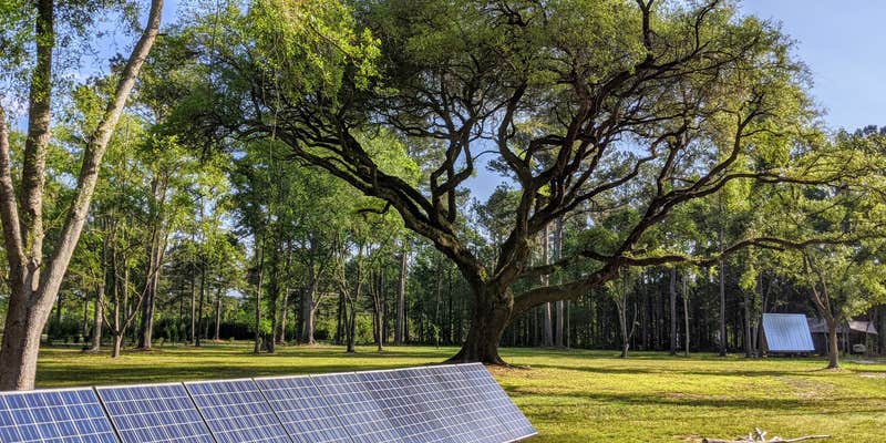 Camper submitted image from Heirloom Hamlet