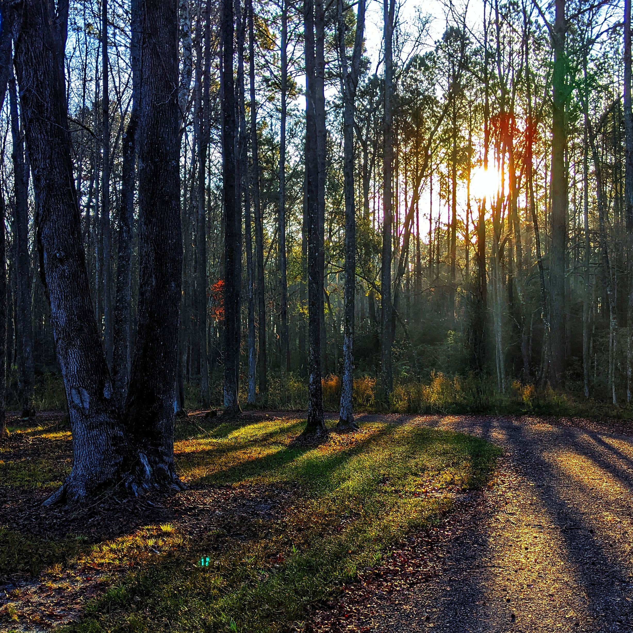 Camper-submitted photo at Heirloom Hamlet near Beaufort, SC