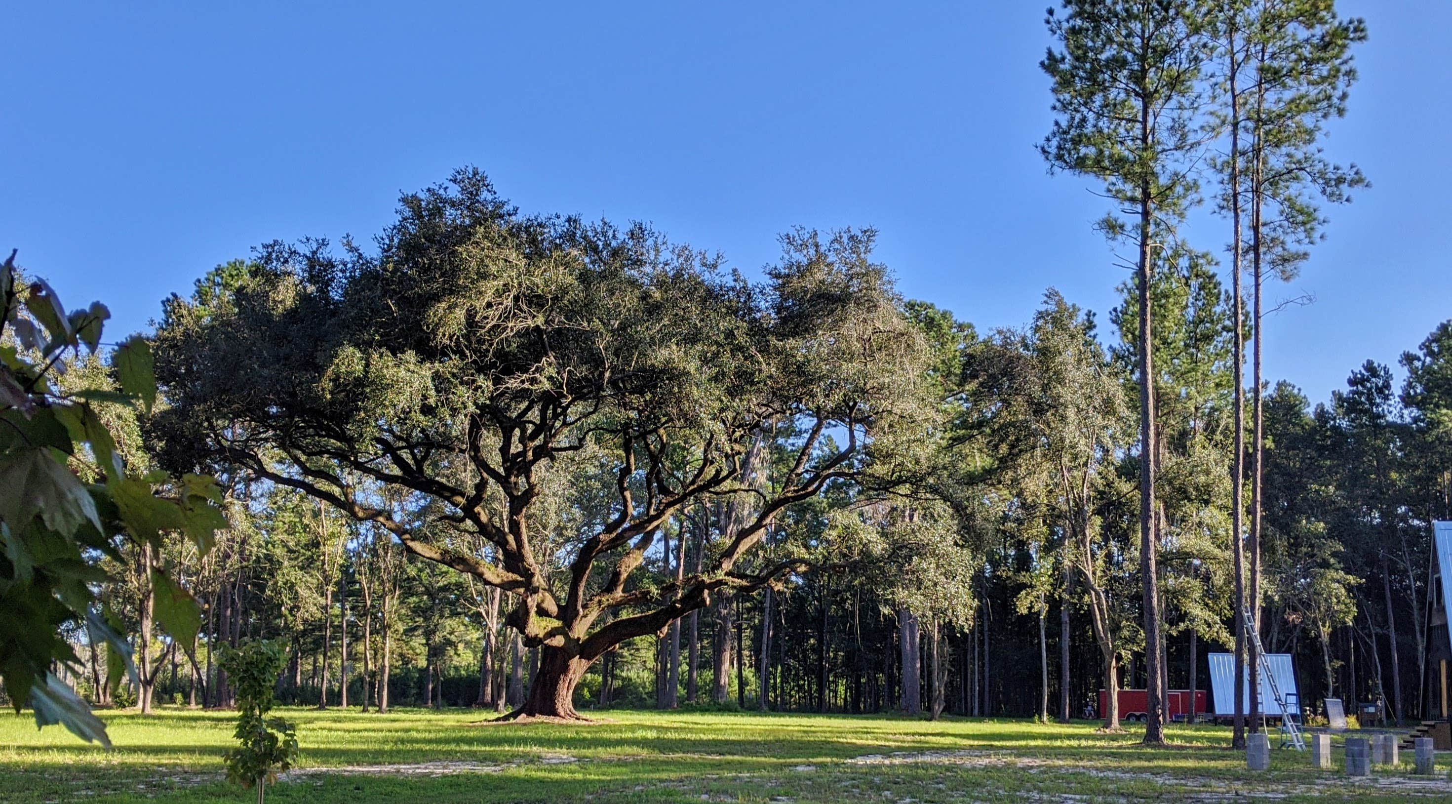 Camper-submitted photo at Heirloom Hamlet near Beaufort, SC