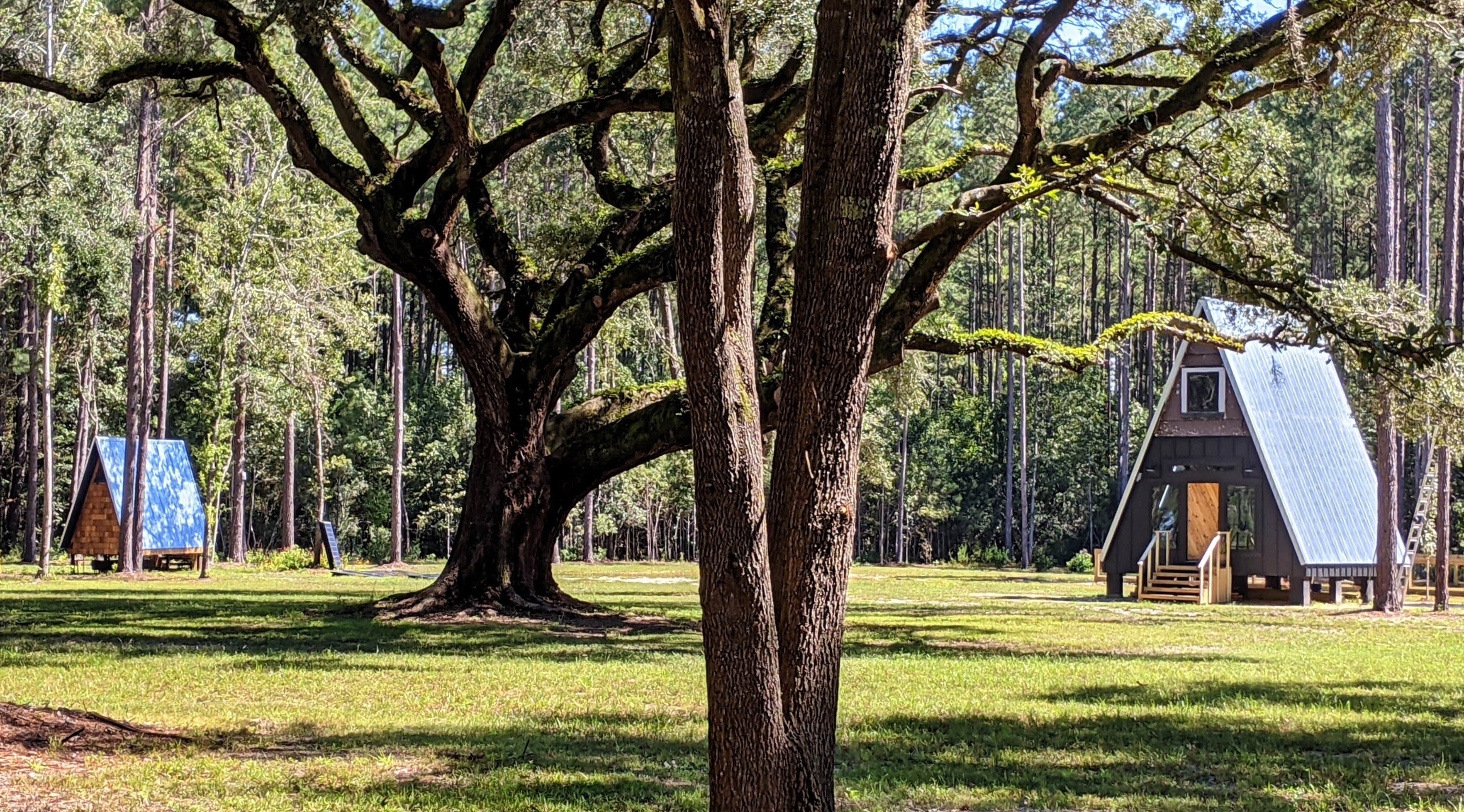 Camper-submitted photo at Heirloom Hamlet near Beaufort, SC