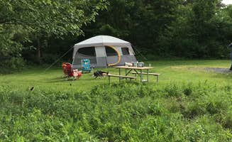 Jeannine C.'s photo at Keuka Lake State Park Campground near Naples, NY