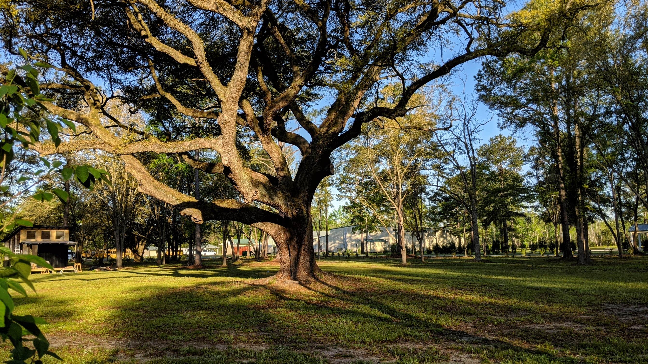 Camper-submitted photo at Heirloom Hamlet near Beaufort, SC