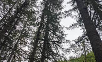 Mint's photo at Fan Creek Recreation Site near Rickreall, OR