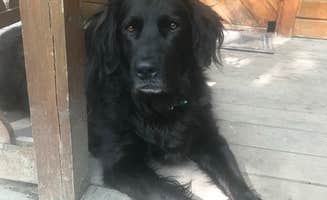 Carrie C.'s photo of camping with pets at Munising-Pictured Rocks KOA near Grand Marais, MI