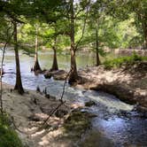 Review photo of Suwannee River State Park Campground by Kristin R., May 20, 2021