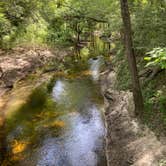 Review photo of Suwannee River State Park Campground by Kristin R., May 20, 2021