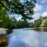 Review photo of Suwannee River State Park Campground by Kristin R., May 20, 2021