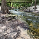Review photo of Suwannee River State Park Campground by Kristin R., May 20, 2021