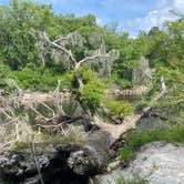 Review photo of Suwannee River State Park Campground by Kristin R., May 20, 2021