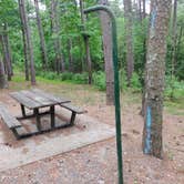 Review photo of Daisy State Park Campground by Sébastien M., May 20, 2021