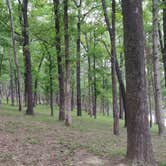 Review photo of Daisy State Park Campground by Sébastien M., May 20, 2021