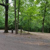 Review photo of Daisy State Park Campground by Sébastien M., May 20, 2021