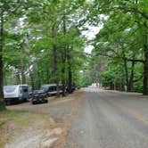 Review photo of Daisy State Park Campground by Sébastien M., May 20, 2021