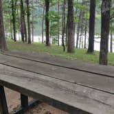 Review photo of Daisy State Park Campground by Sébastien M., May 20, 2021