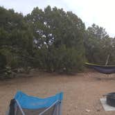 Review photo of Piñon Campground — Lathrop State Park by Melissa L., June 4, 2018