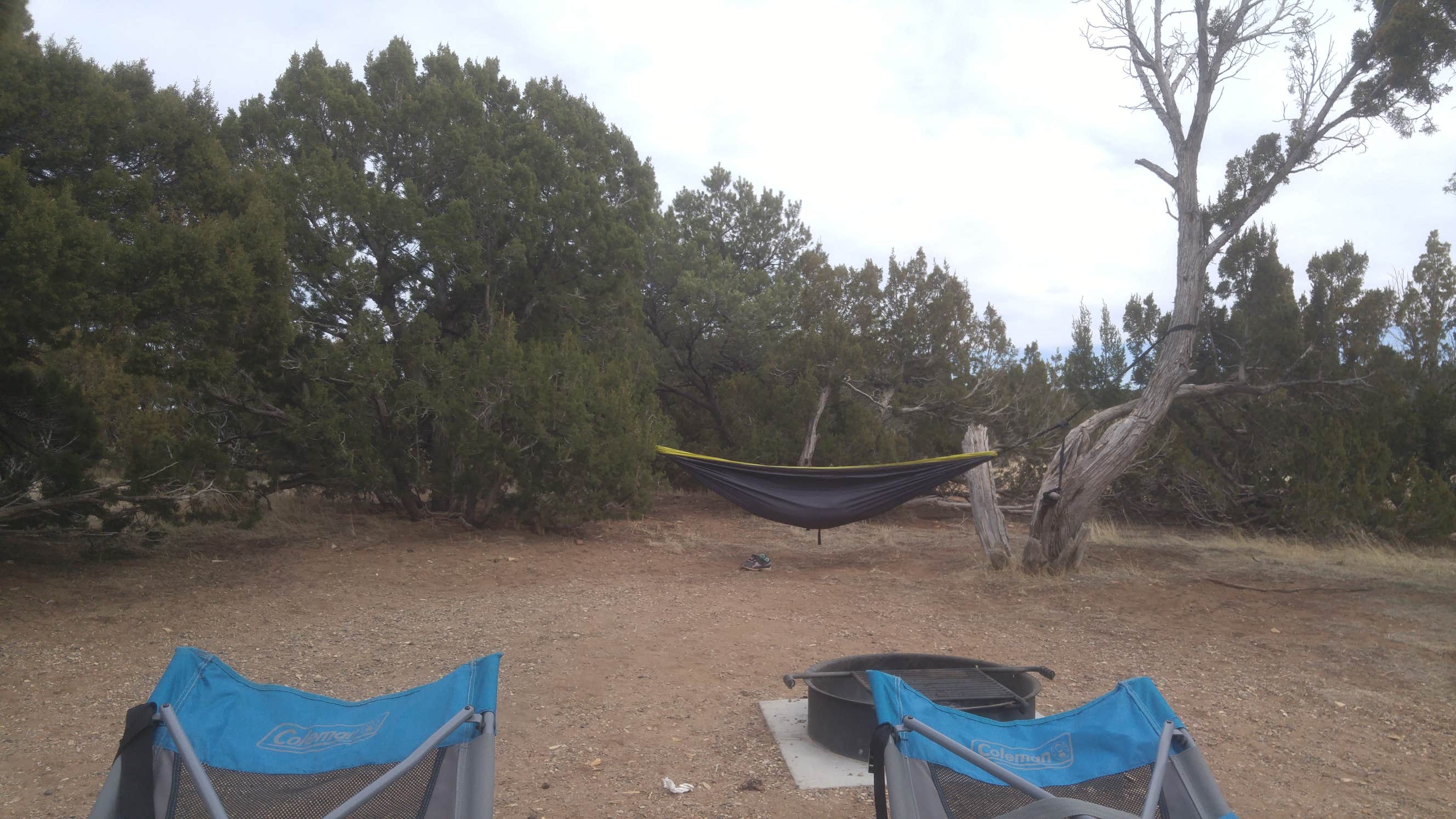 Camper submitted image from Piñon Campground — Lathrop State Park - 3