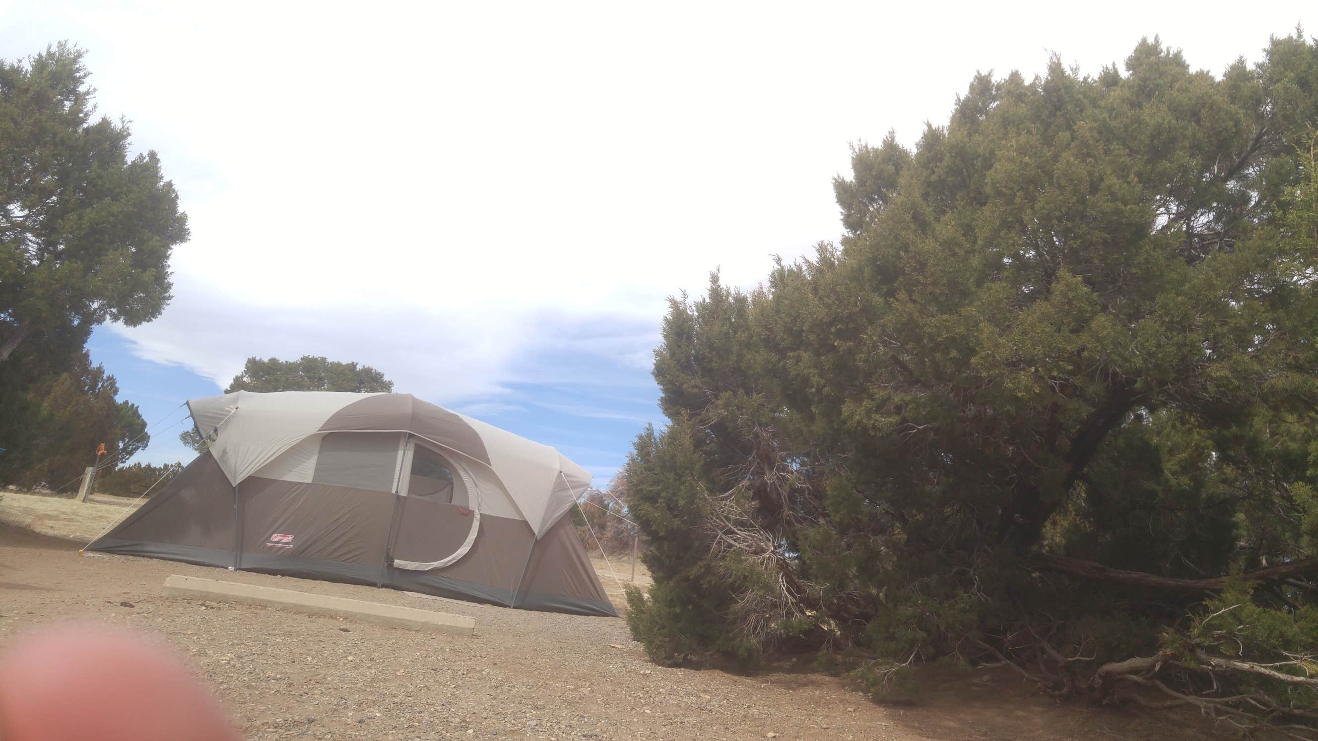Camper submitted image from Piñon Campground — Lathrop State Park - 4