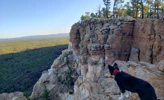 Jeanie P.'s photo of camping with pets at Narrows Camp Site in New Mexico