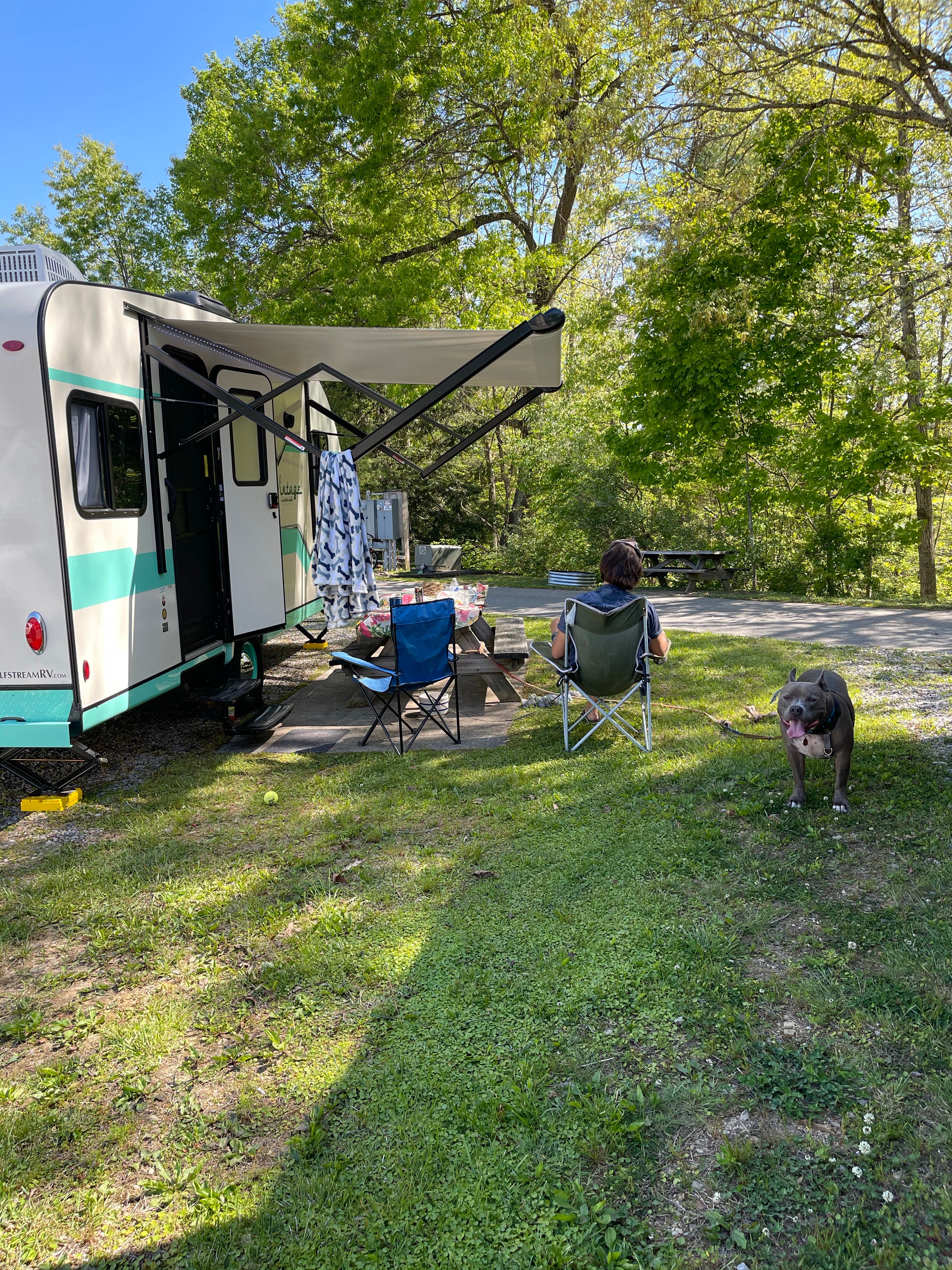 Camper submitted image from Lake Stephens Campground - 1