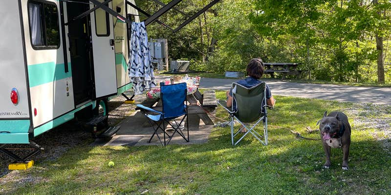 Camper submitted image from Lake Stephens Campground