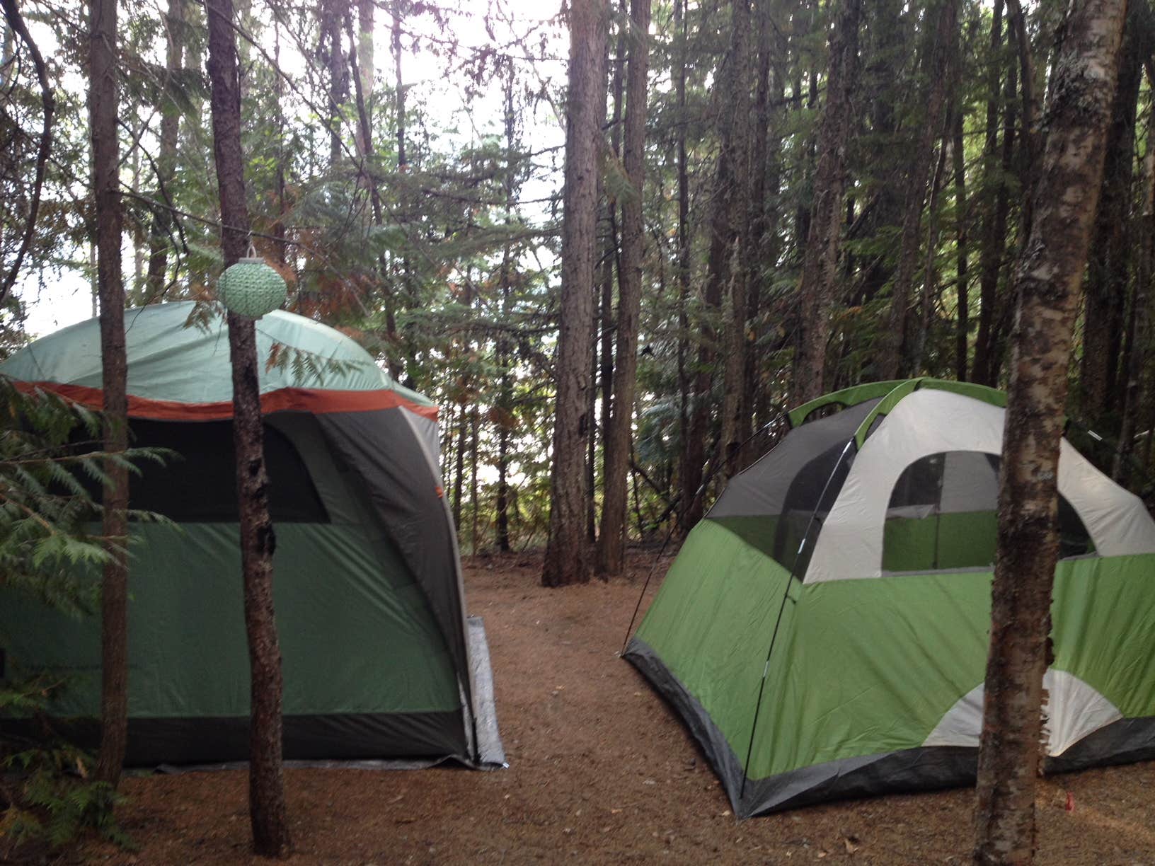 Alison C.'s photo at Fish Creek Campground — Glacier National Park near Glacier National Park