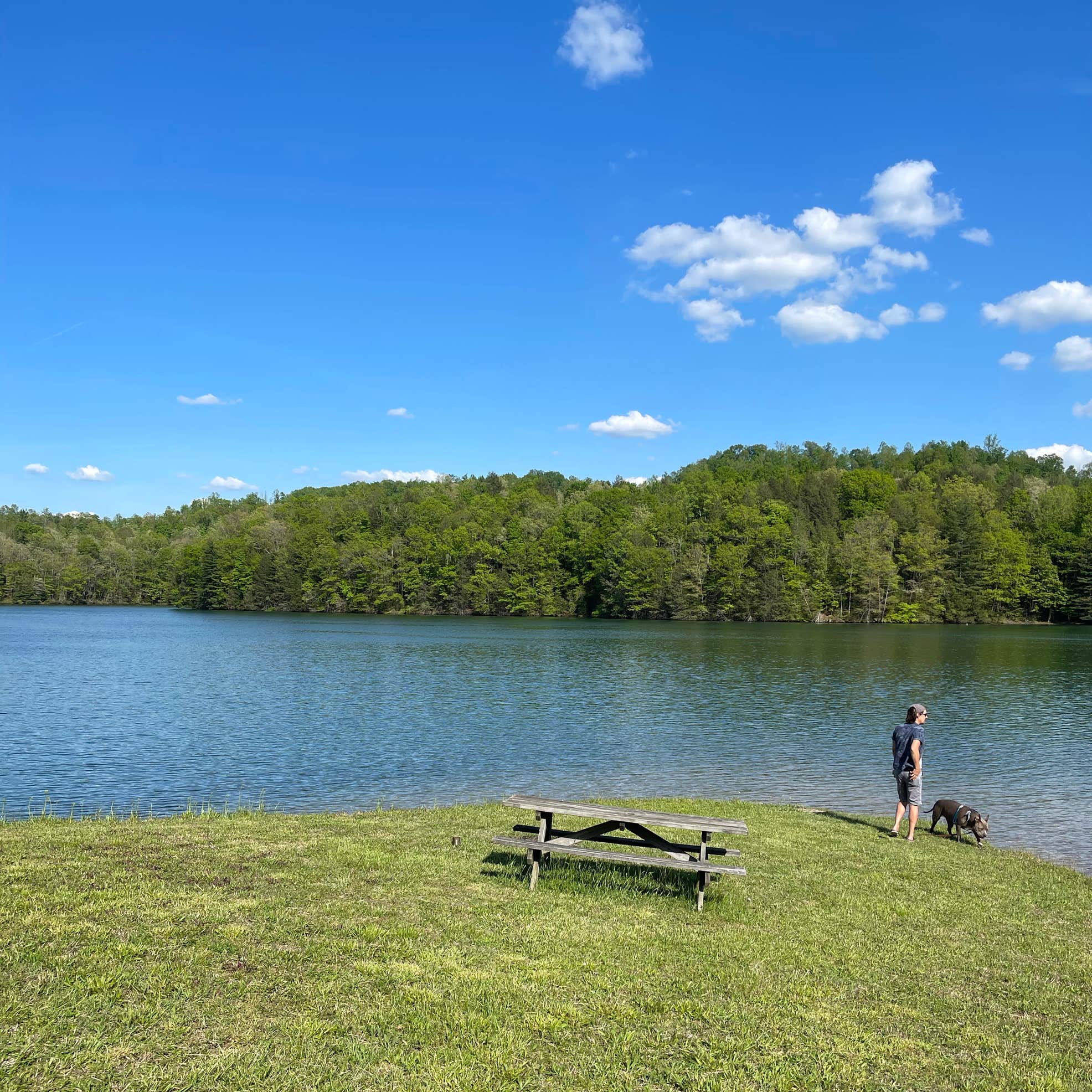 Lake Stephens Campground Camping The Dyrt