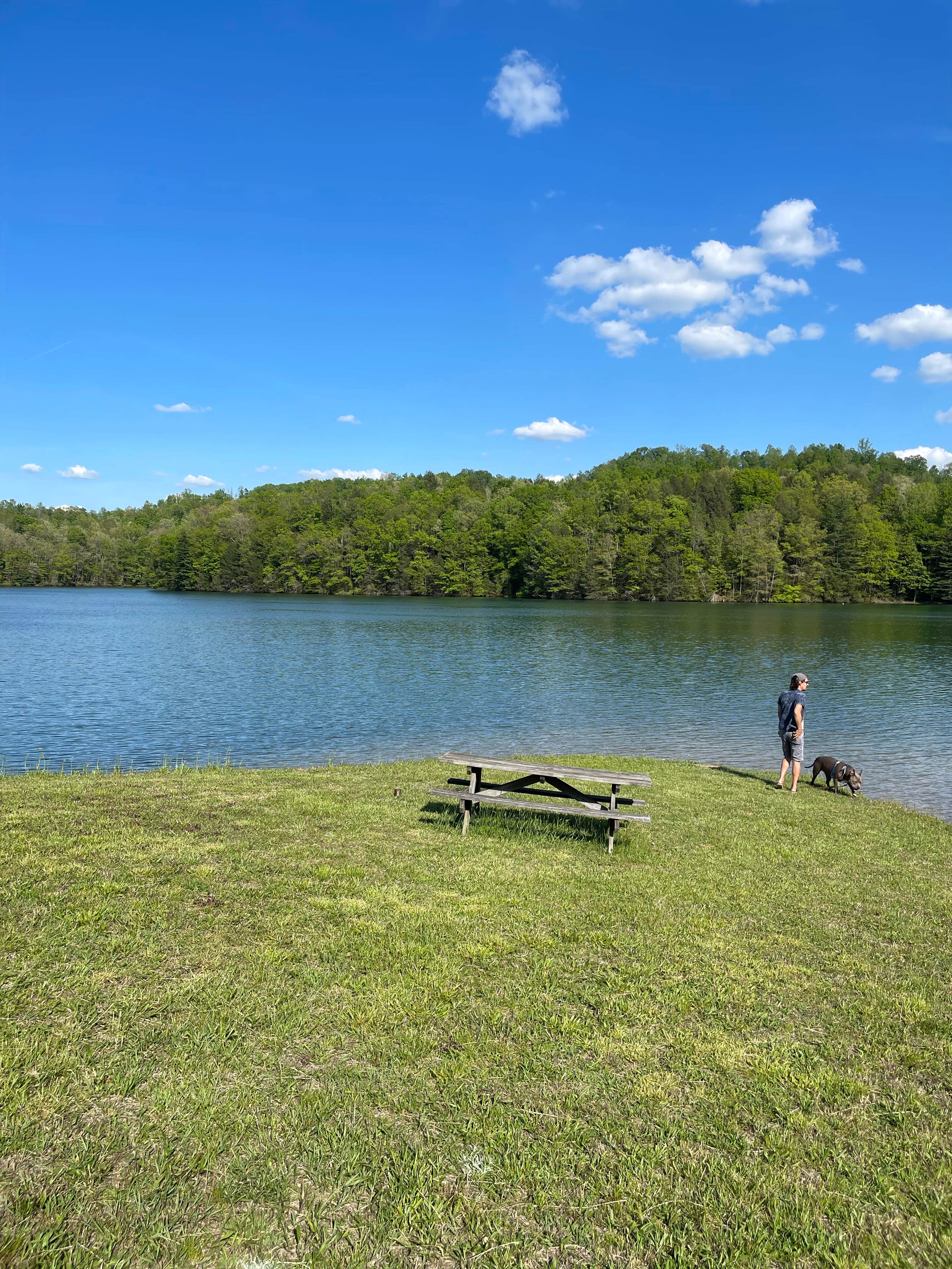 Camper submitted image from Lake Stephens Campground - 3