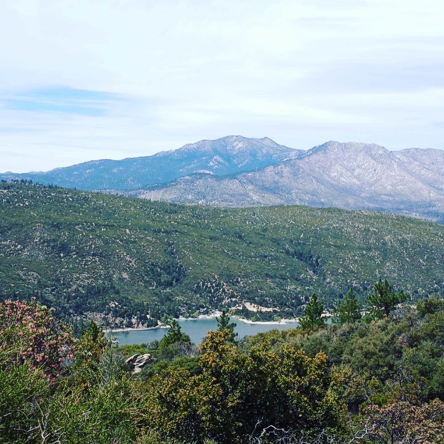 Thomas Mountain Campsites The Dyrt