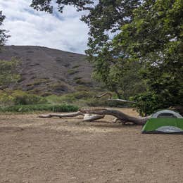 Sycamore Campground