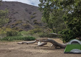 Sycamore Campground
