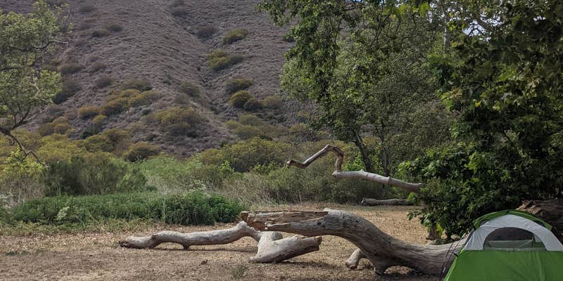 Camper submitted image from Sycamore Campground