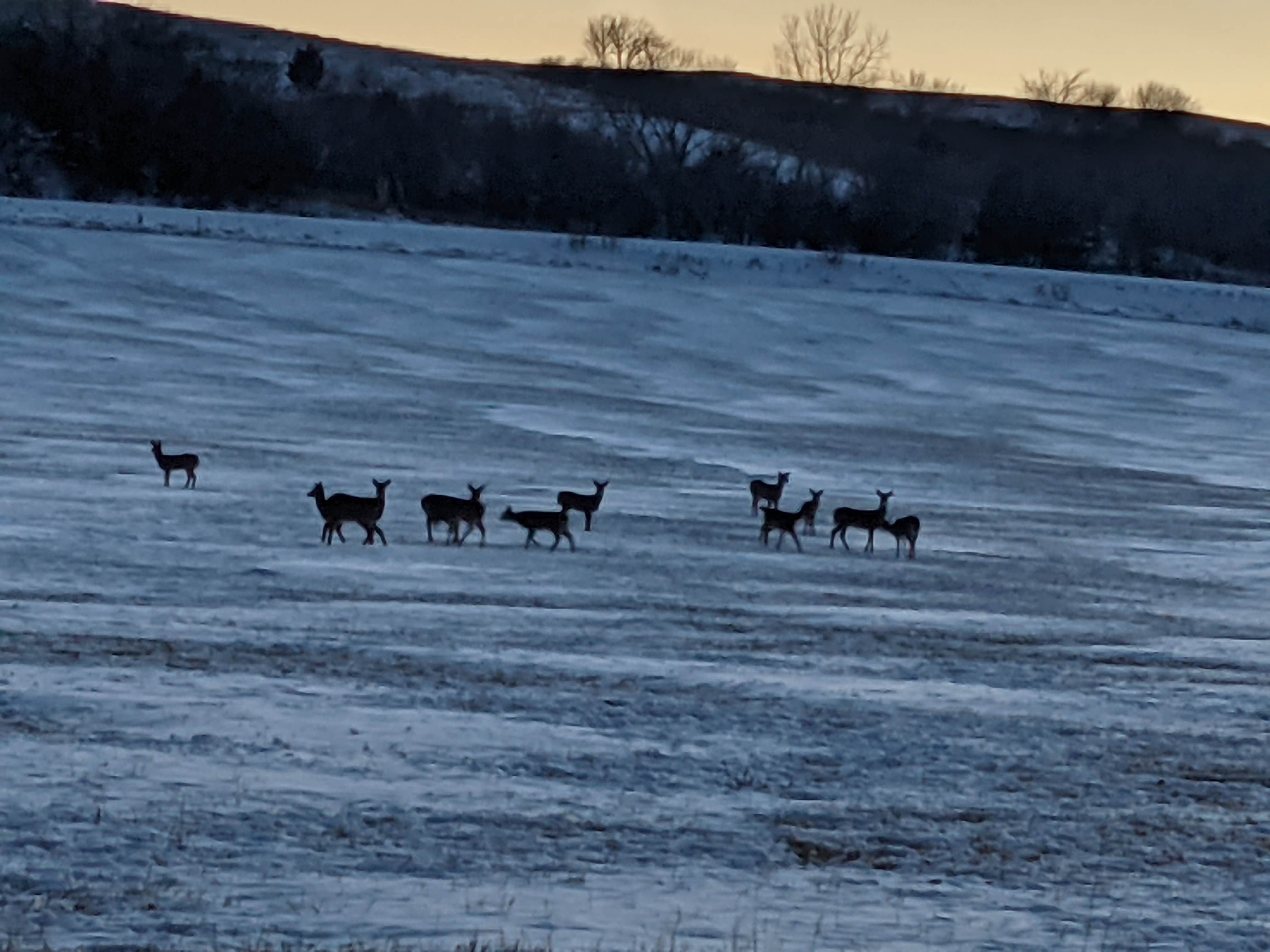 Camper-submitted photo at Weigand near Yankton, SD
