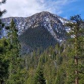 Review photo of Mt. Charleston Dispersed by Cedric S., May 20, 2021