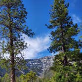 Review photo of Mt. Charleston Dispersed by Cedric S., May 20, 2021