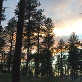 Review photo of Black Hills National Forest Dutchman Campground by Laura H., June 4, 2018