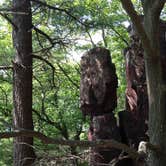 Review photo of Ice Age - Devils Lake State Park by Joy H., June 4, 2018