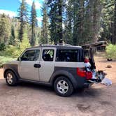 Review photo of Upper Stony Creek Campground — Sequoia National Forest by Laura H., May 21, 2021