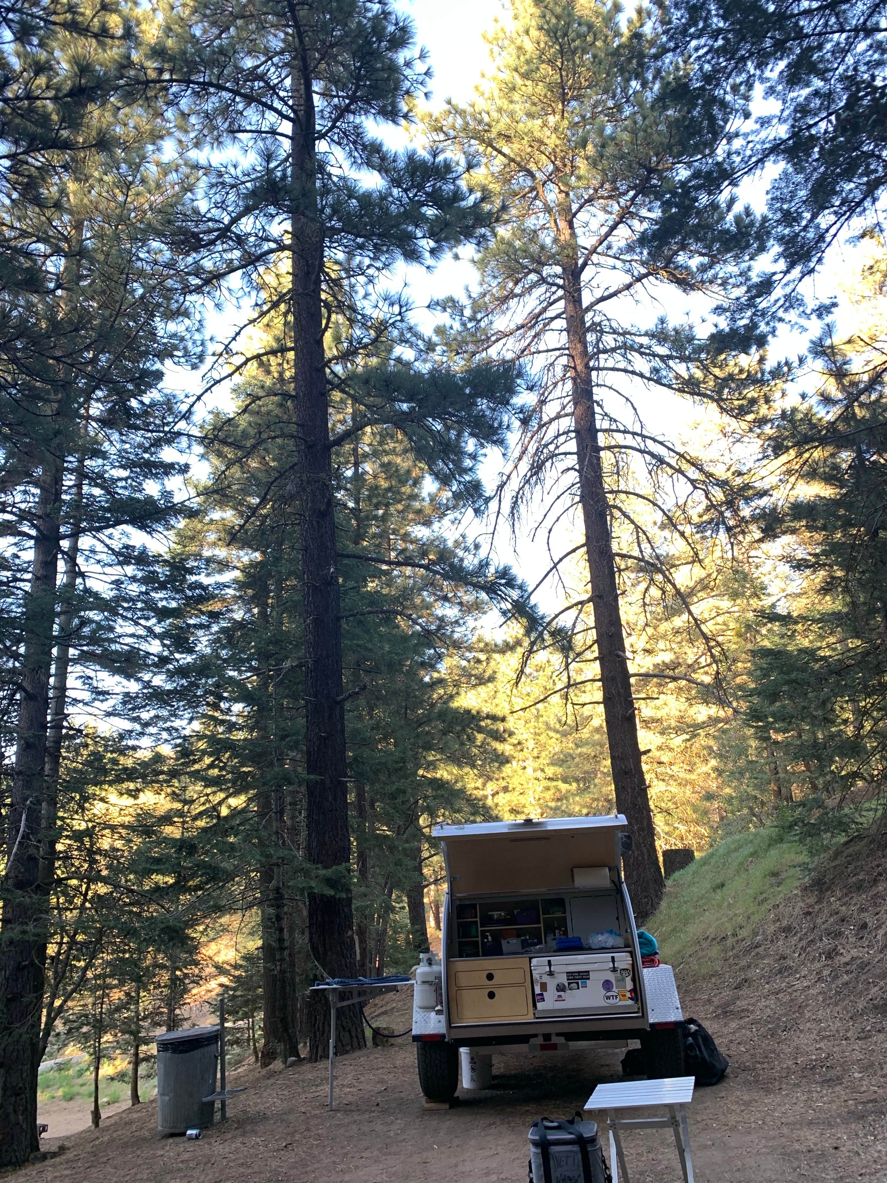 Shannon O.'s photo of rv camping at Tehachapi Mountain Park near Lancaster, CA