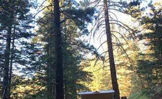 Shannon O.'s photo of rv camping at Tehachapi Mountain Park near Lake Hughes, CA