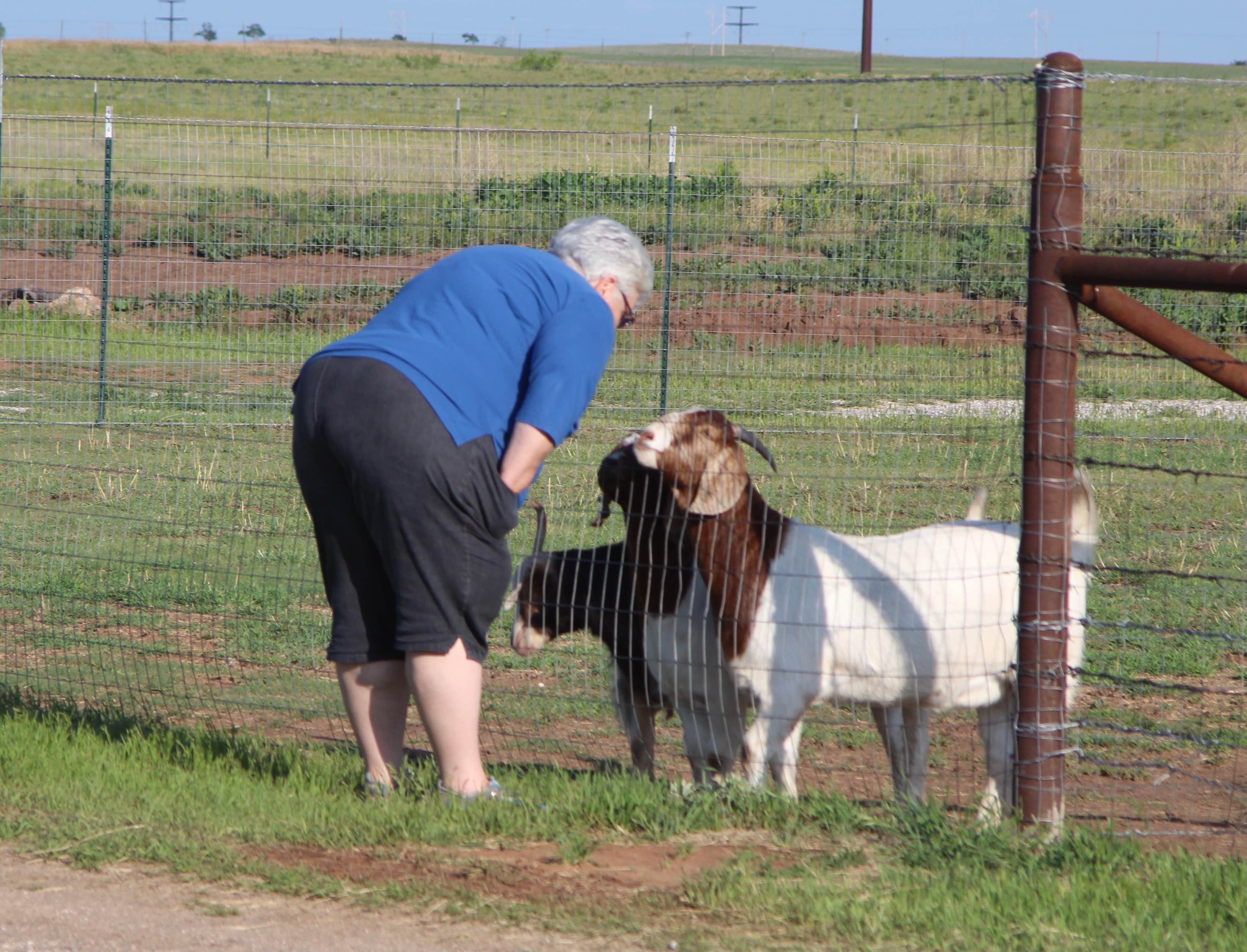 Camper submitted image from Texas Route 66 RV Park - 4