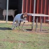 Review photo of Texas Route 66 RV Park by Joel R., May 21, 2021