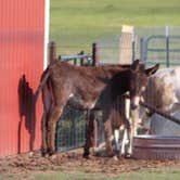 Review photo of Texas Route 66 RV Park by Joel R., May 21, 2021