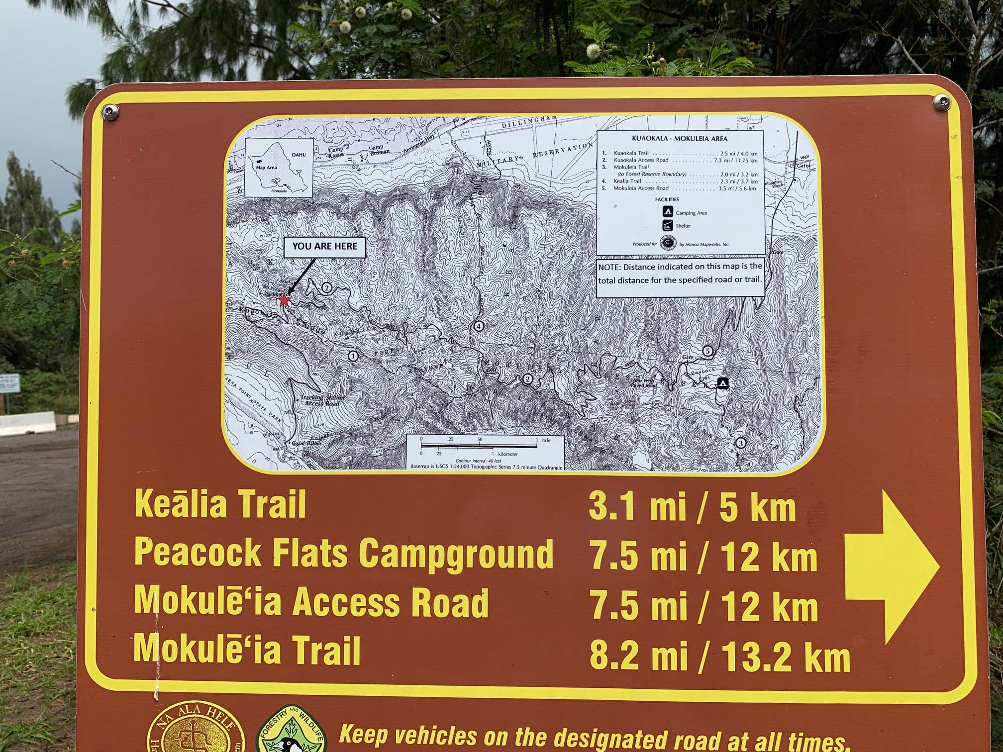 Camper-submitted photo at Peacock Flats - Mokuleia Forest Reserve near Waipio, HI