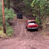 Review photo of Peacock Flats - Mokuleia Forest Reserve by Laura H., May 21, 2021